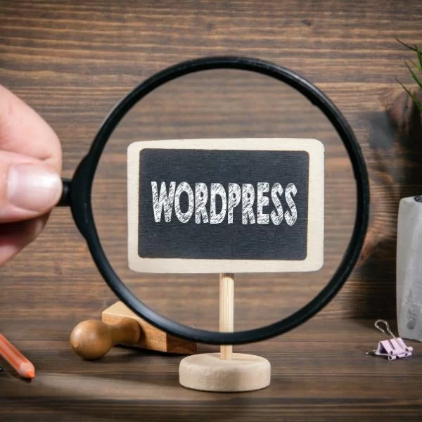 WordPress vs. OpenCart: İki Popüler Web Platformunun Karşılaştırması